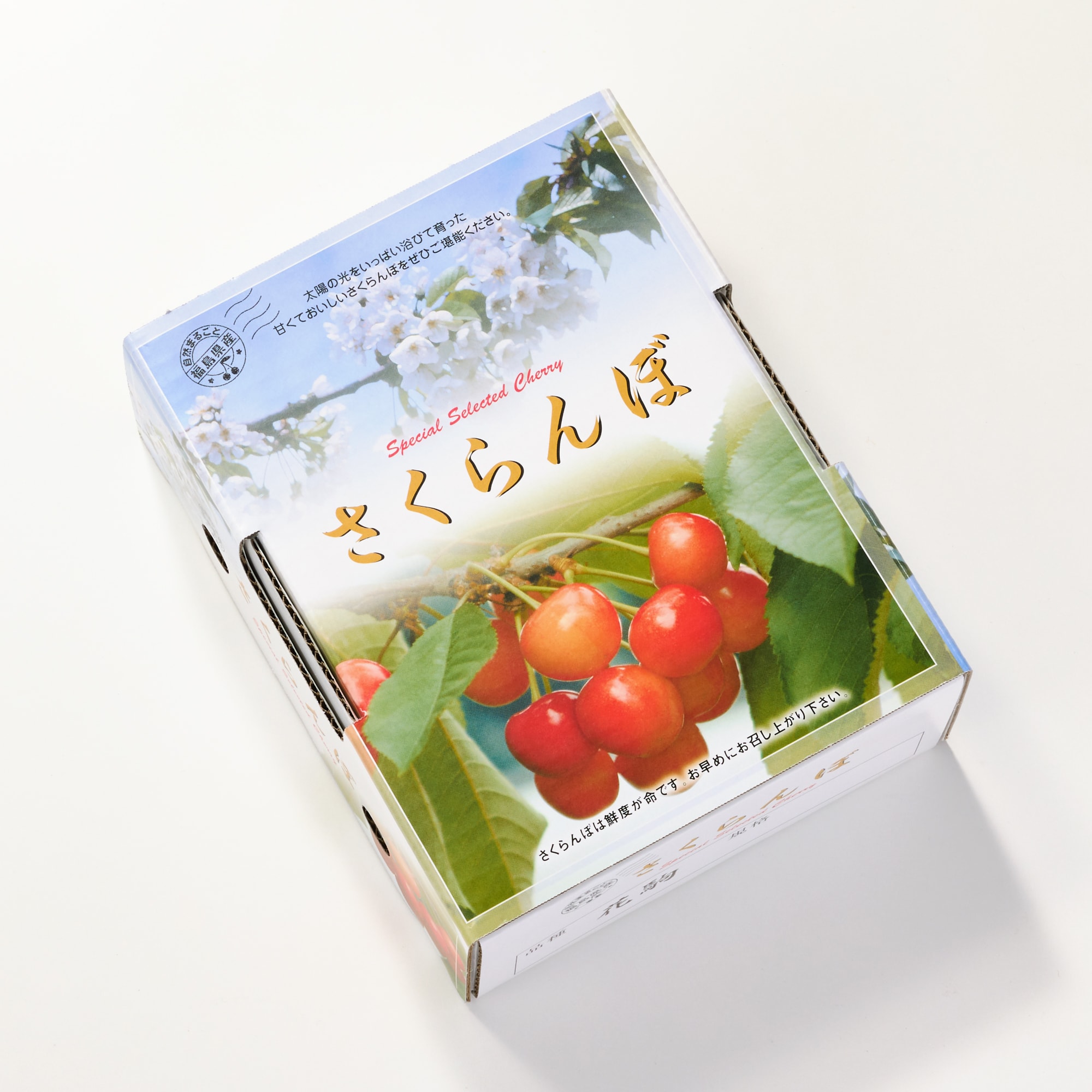 福島県産　大友農園の「さくらんぼ（早生種）」　家庭用（M～2Lサイズ混合）　５００ｇ
