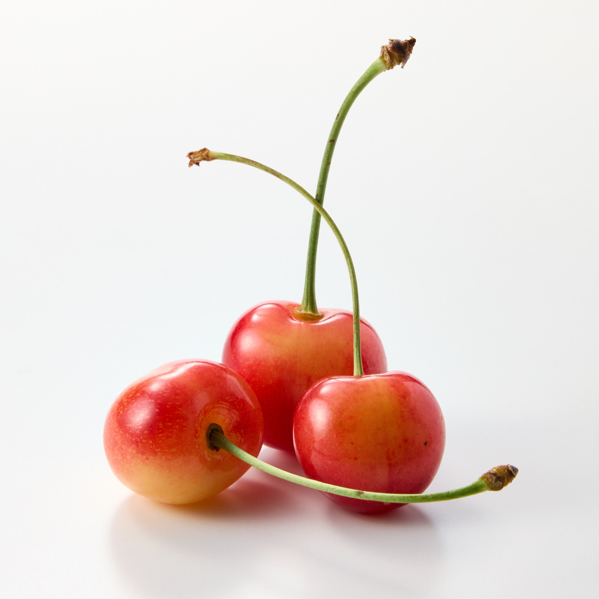 福島県産　大友農園の「さくらんぼ（早生種）」　家庭用（M～2Lサイズ混合）　５００ｇ