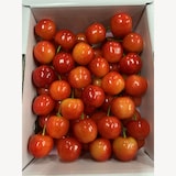 福島県産　大友農園の「さくらんぼ（佐藤錦または紅秀峰）」　家庭用（M～2Lサイズ）　５００ｇ