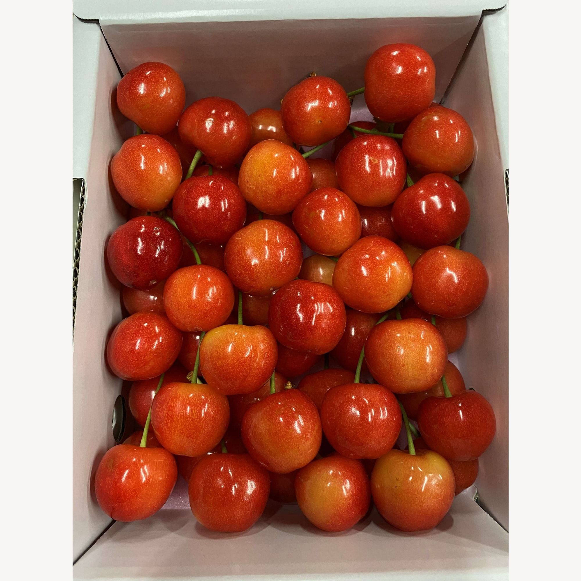 福島県産　大友農園の「さくらんぼ（佐藤錦または紅秀峰）」　家庭用（M～2Lサイズ）　５００ｇ