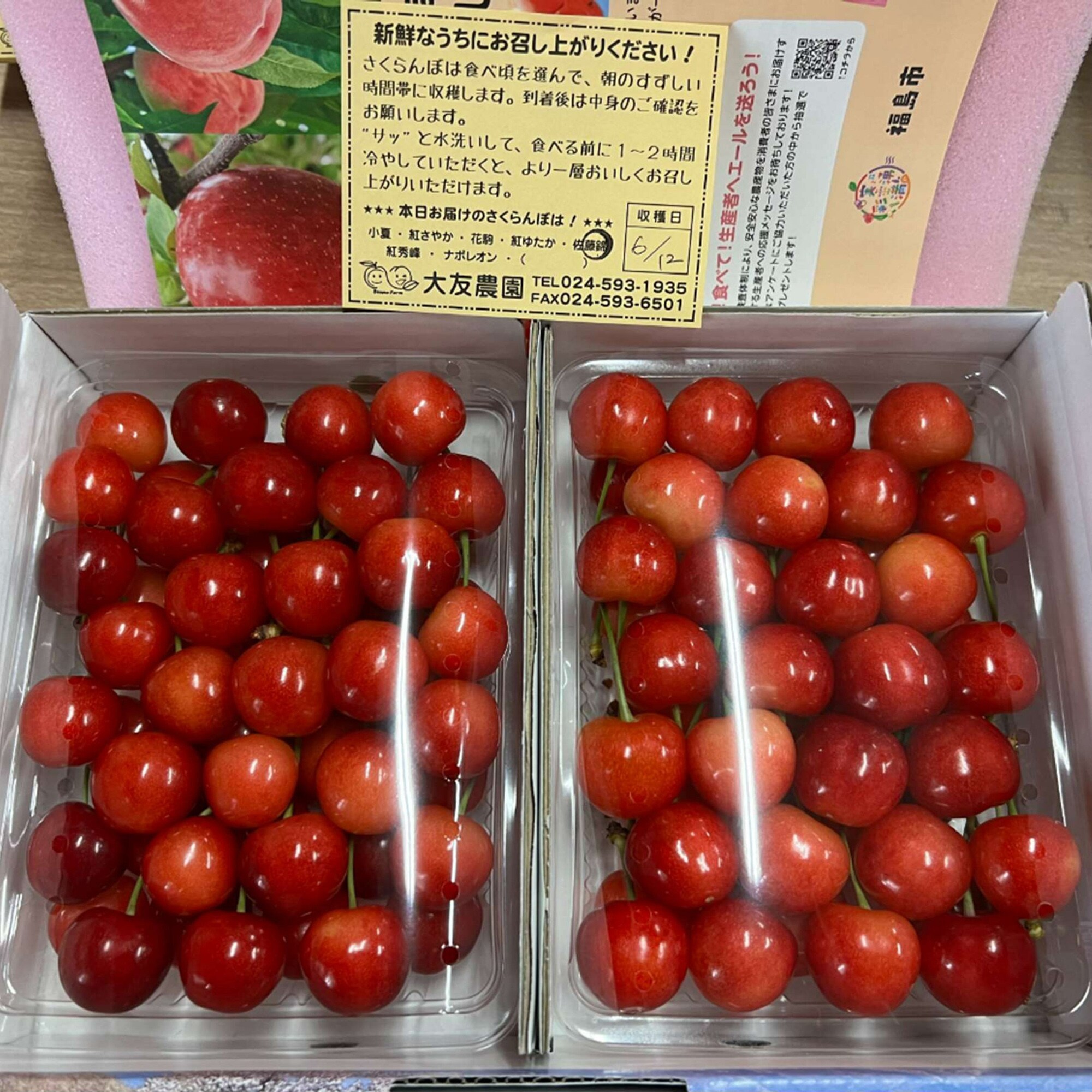 福島県産 大友農園の「さくらんぼ（佐藤錦または紅秀峰）」 家庭用（M