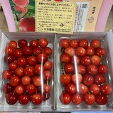 福島県産　大友農園の「さくらんぼ（佐藤錦または紅秀峰）」　家庭用（M～2Lサイズ混合）　７００ｇ