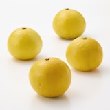 福岡県産　いわくま果樹園の「日向夏」　約４．５ｋｇ