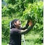 岡山県　総社もも生産組合の桃「恋みらい」　約９００ｇ（４～６玉）