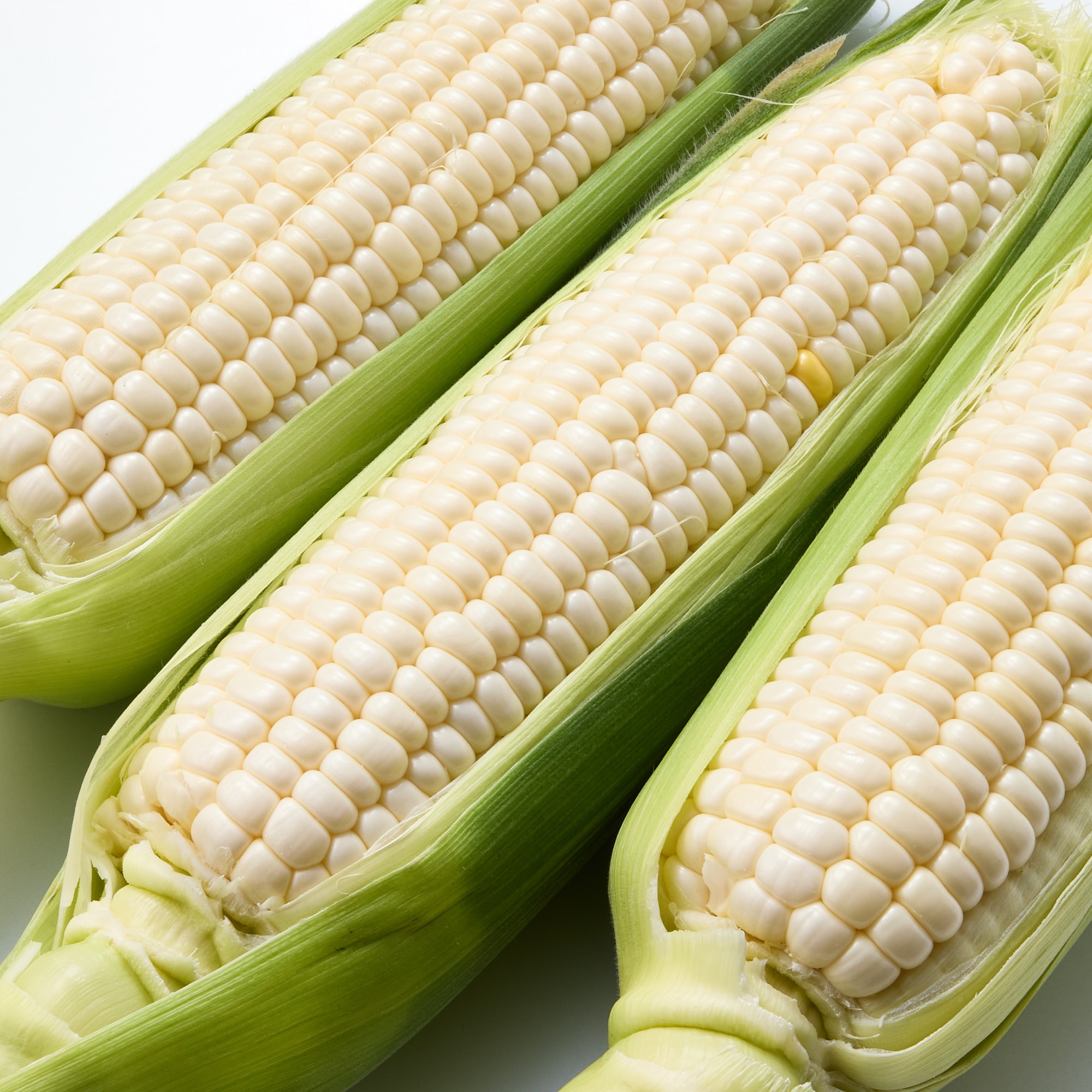 京都府産　村田農園のとうもろこし「パールコーン」　約３．５ｋｇ