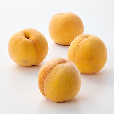 岡山県産　窪津真果園の桃「黄金桃」約1.5kg