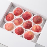 福島県産　菱沼農園の旬の桃「品種おまかせ（９月お届け）」　家庭用・約３ｋｇ（ＧＡＰ認証）