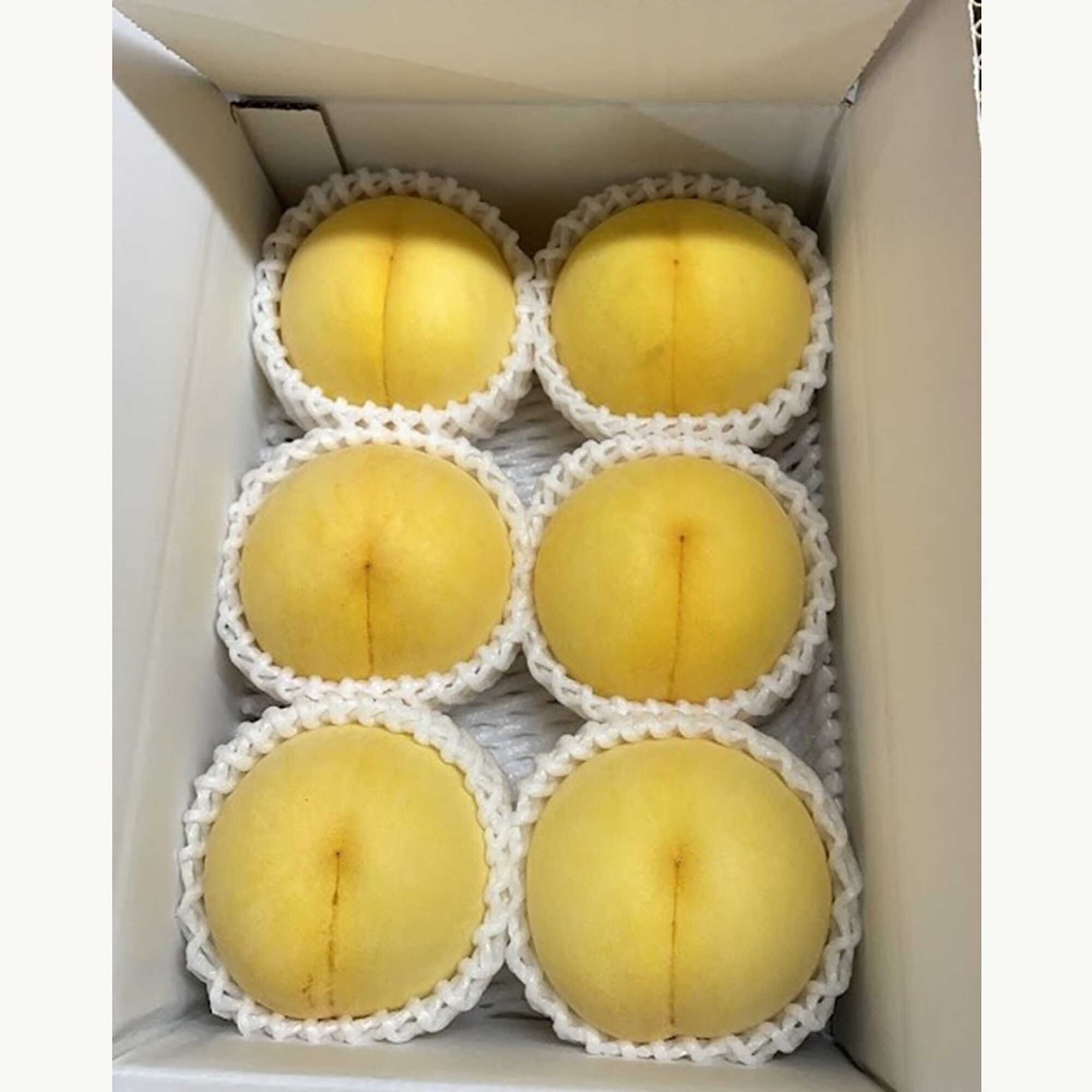 ＜7月10日発売予定＞福島県産　宍戸果樹園の桃「黄ららのきわみ」　約２ｋｇ（ＧＡＰ認証）