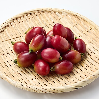 島根県邑南町産　フルーツファームふくふくのぶどう「神紅」(しんく)粒売り約300ｇ