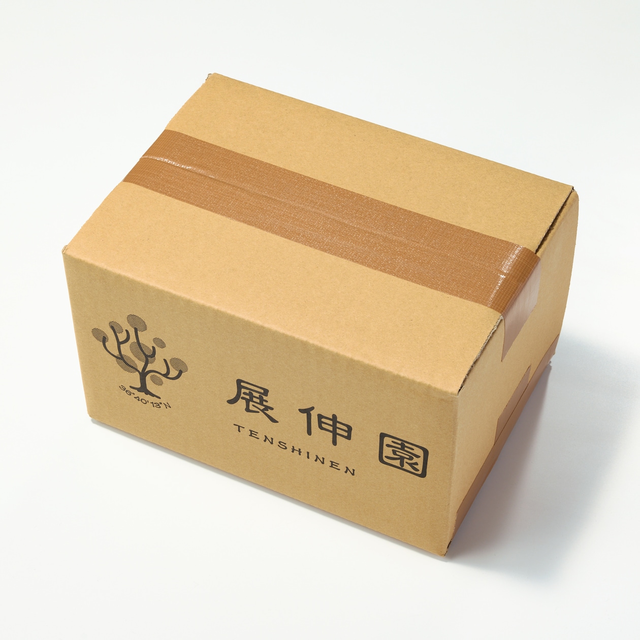 長野県産　展伸園のぶどう「クイーンルージュⓇ」約６００ｇ（１房入り）【ギフトにおすすめ】