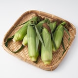 福島県産　南会津　あたごファームのトウモロコシ「ほおばりコーン」　約２ｋｇ（ＧＡＰ認証）