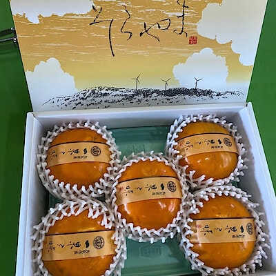鳥取県産　ひろおかファームの柿「輝太郎」約２ｋｇ（５～６玉）【ギフトにおすすめ】