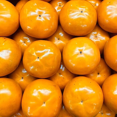 鳥取県産　ひろおかファームの柿「輝太郎」家庭用・約４ｋｇ（１０〜１５玉）
