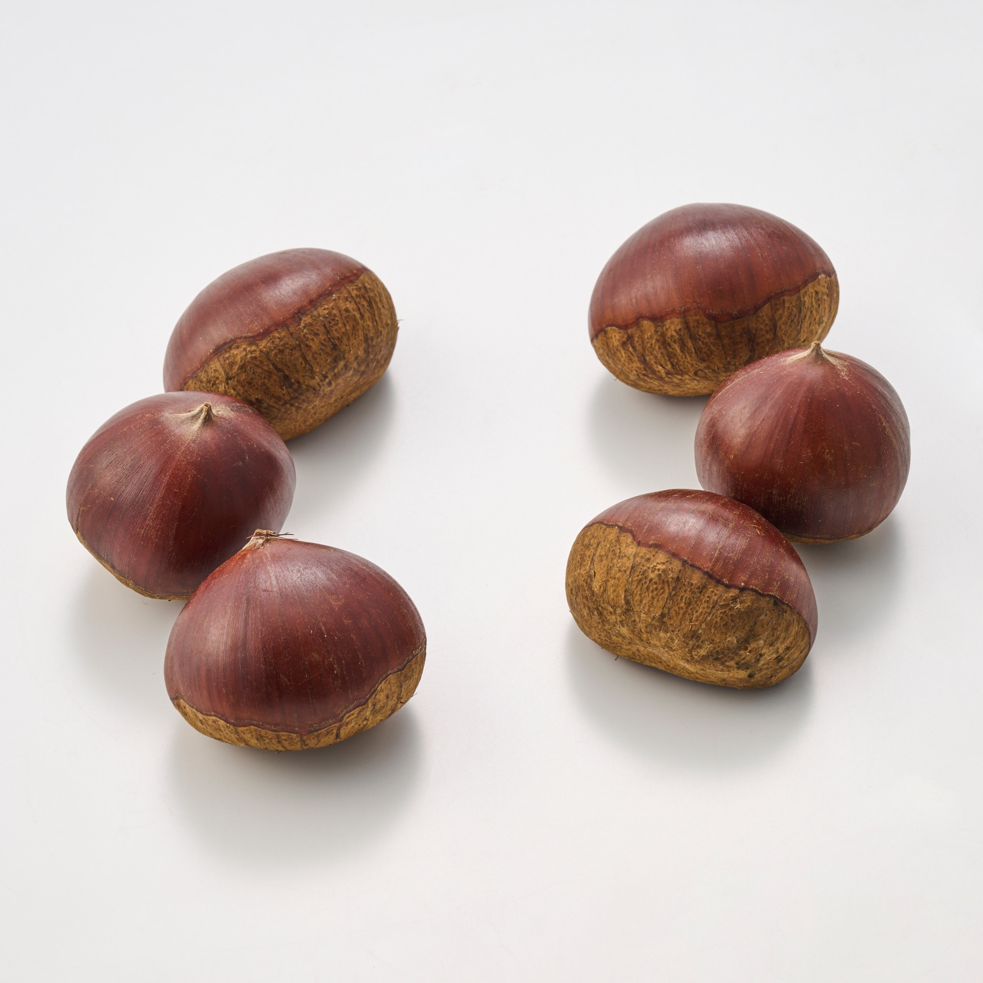 甲斐マロン様 甲斐マロン様 甲斐マロン様