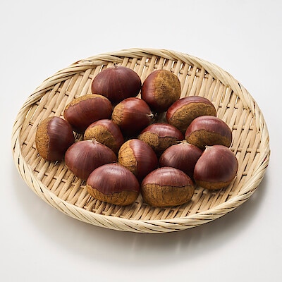 長野県小布施産　平松農場の栗「銀寄」（３Ｌサイズ）約４５０ｇ