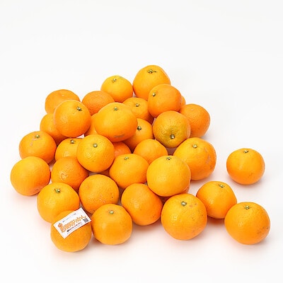 【送料込み】和歌山県産　観音山フルーツガーデンの「温州みかん」家庭用 サイズ無選別 約１０ｋｇ(５ｋｇ×２箱）