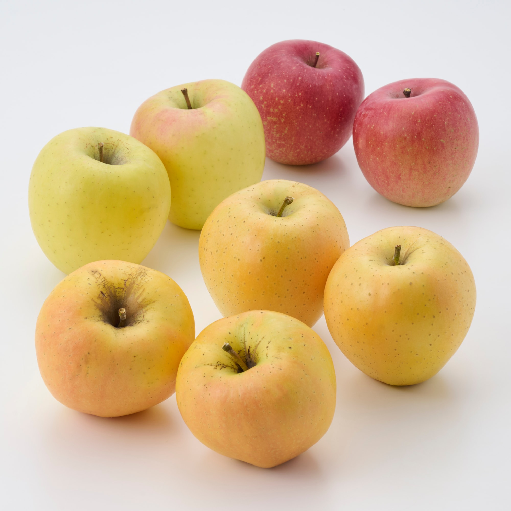 信州須坂産 展伸園のりんご4種セット（なかののきらめき・名月