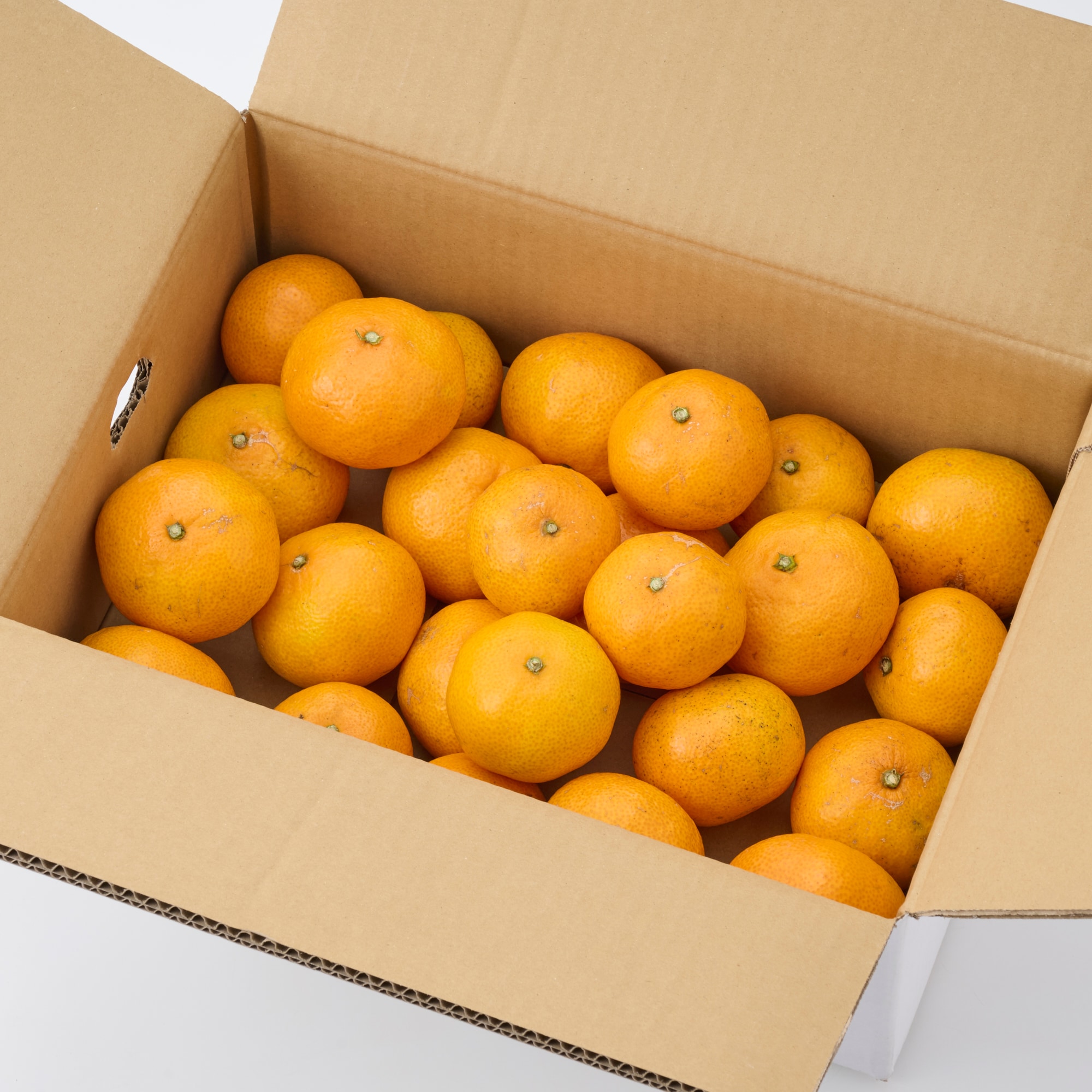 愛媛県産 無茶々園の早生みかん（宮川早生）サイズ混合・約3kg