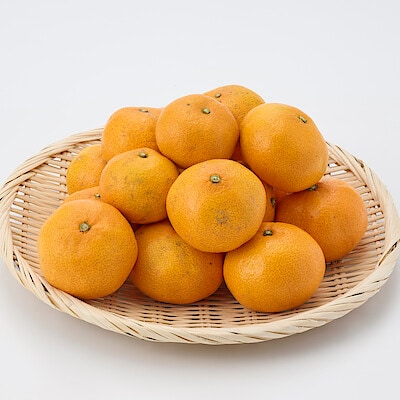 愛媛県産　無茶々園の早生みかん（宮川早生）サイズ混合・約３ｋｇ