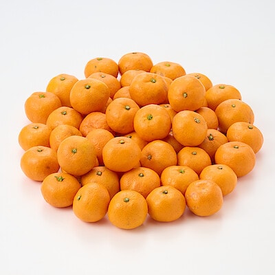 愛媛県産　無茶々園の温州みかん 小玉・３ｋｇ