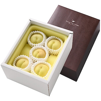 岡山県総社市　総社もも生産組合「冬桃がたり」約９００ｇ【ギフトにおすすめ】