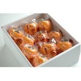 【期間限定：１２月２５日まで】岡山県赤磐市　行本園芸の「あたご柿」１０個【ギフトにおすすめ】