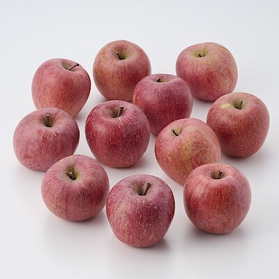 福島県産　大友農園のりんご「サンふじ」　家庭用・約２．７ｋｇ（８～１３玉）（ＧＡＰ認証）