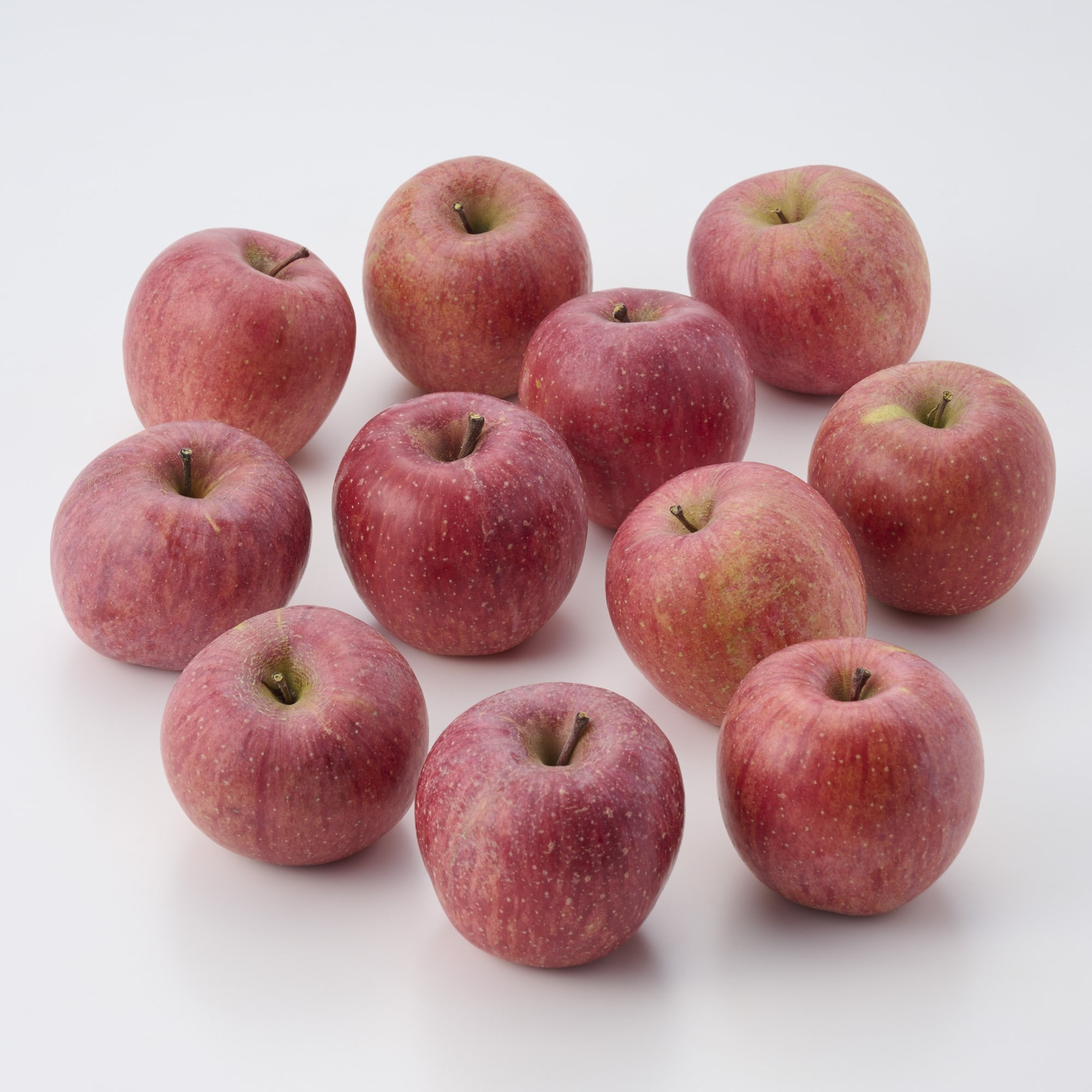 福島県産　大友農園のりんご「サンふじ」　家庭用・約２．７ｋｇ（８～１３玉）（ＧＡＰ認証）