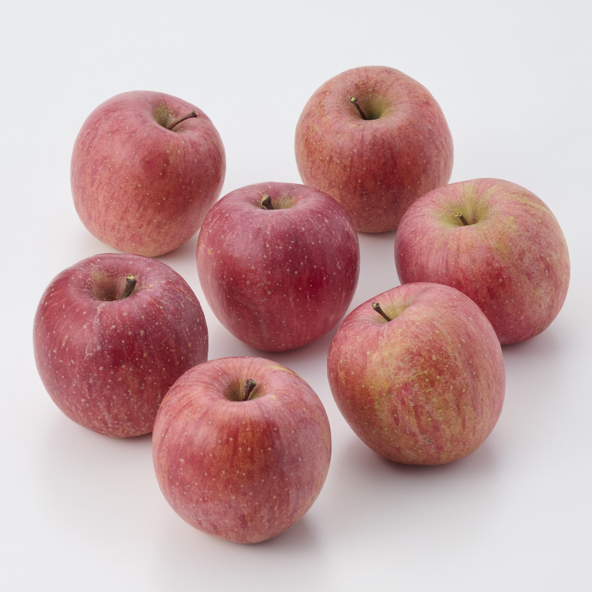 福島県産　大友農園のりんご「サンふじ」　家庭用・約１．７ｋｇ（５～９玉）（ＧＡＰ認証）