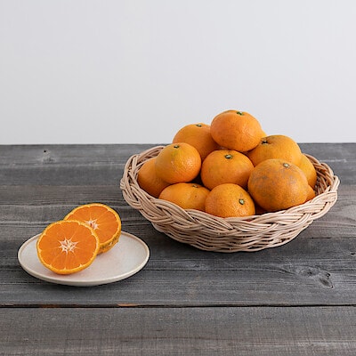 愛媛県産　無茶々園の「温州みかん（南柑２０号）」　サイズ混合・約３ｋｇ