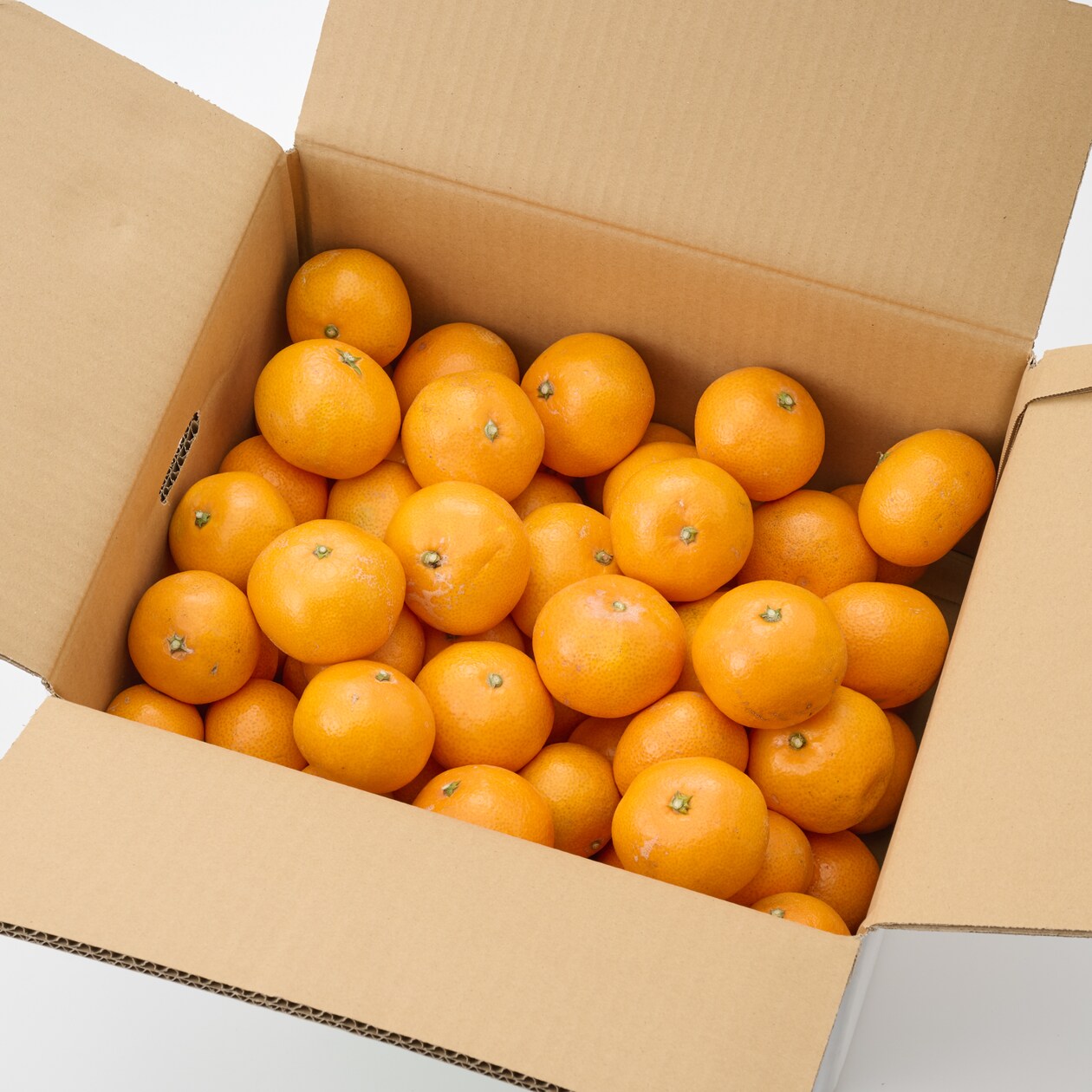 【送料込み】長崎県産　川口農園の「温州みかん」家庭用 M～L混合・約１０ｋｇ