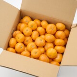 【送料込み】長崎県産　川口農園の温州みかん「青島温州」　家庭用・М～L混合　約１０ｋｇ