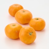 【送料込み】長崎県産　川口農園の温州みかん「青島温州」　家庭用・М～L混合　約１０ｋｇ