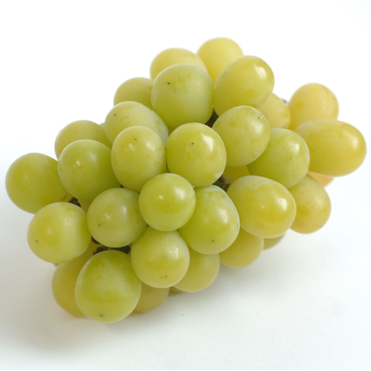 【ギフトにおすすめ】岡山県高梁市　潮ぶどう農園の冬のシャインマスカット　1房（約７００ｇ）