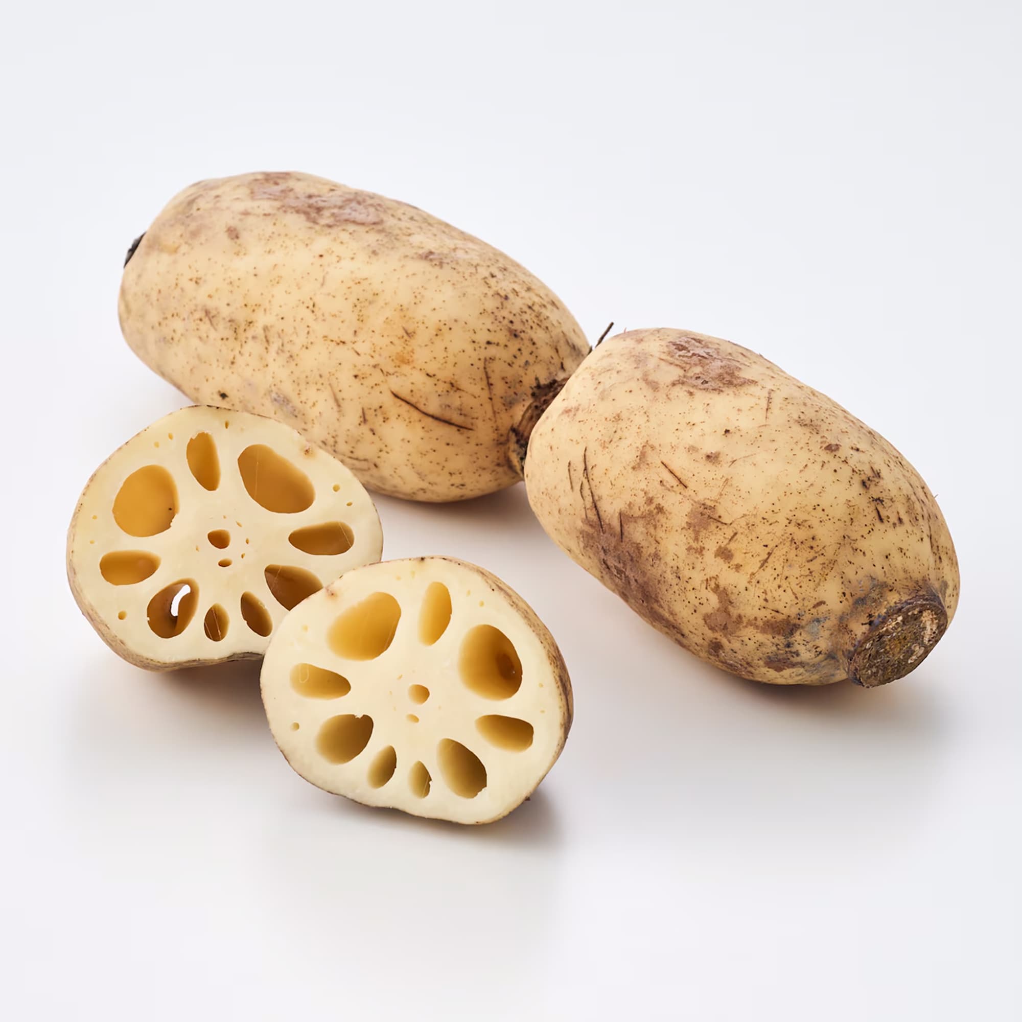 新潟県産 だるまレンコン（芽レンコン入り） 家庭用・約2kg | 無印良品