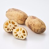 新潟県産　だるまレンコン（芽レンコン入り）　家庭用・約２ｋｇ