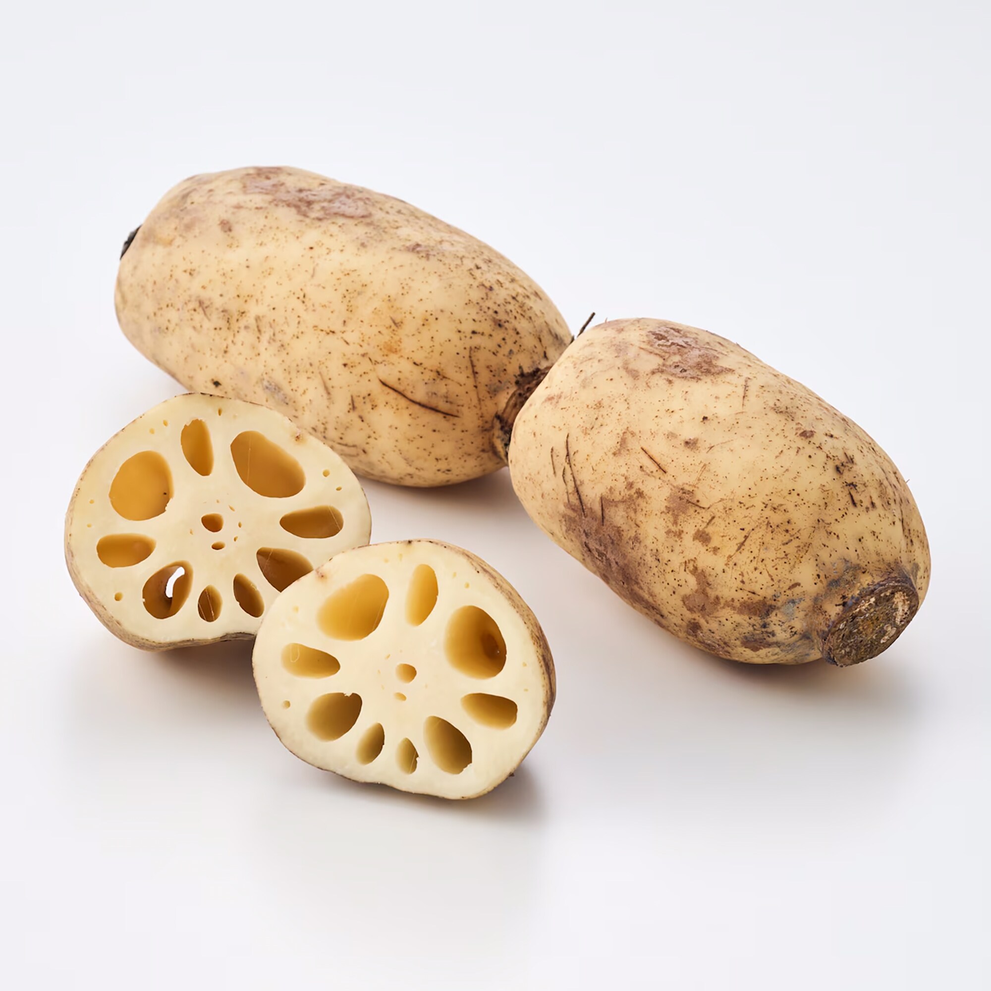 新潟県産　だるまレンコン（芽レンコン入り）　家庭用・約２ｋｇ