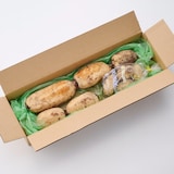 新潟県産　だるまレンコン（芽レンコン入り）　家庭用・約２ｋｇ