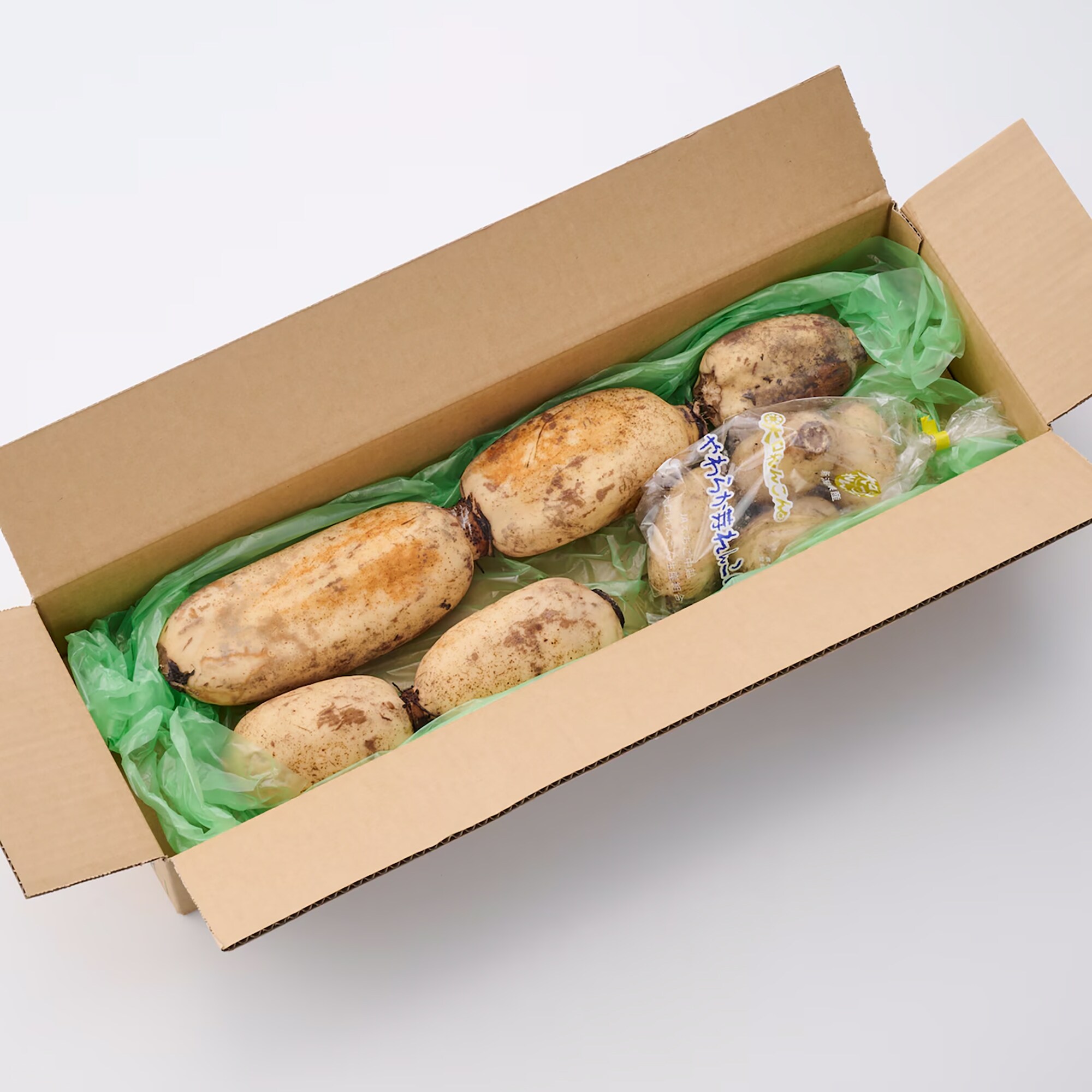 新潟県産　だるまレンコン（芽レンコン入り）　家庭用・約２ｋｇ