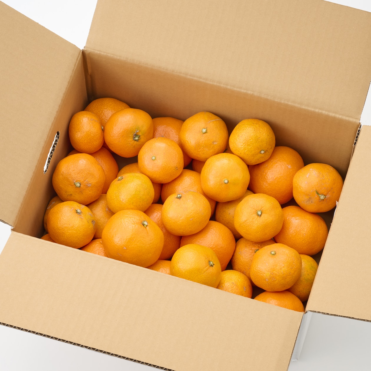 静岡県産　えなみ農園の「石地みかん」　家庭用・S～２L混合　約４．５ｋｇ