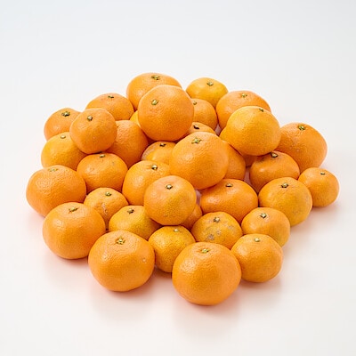 静岡県産　えなみ農園の「石地みかん」　家庭用・S～２L混合　約４．５ｋｇ