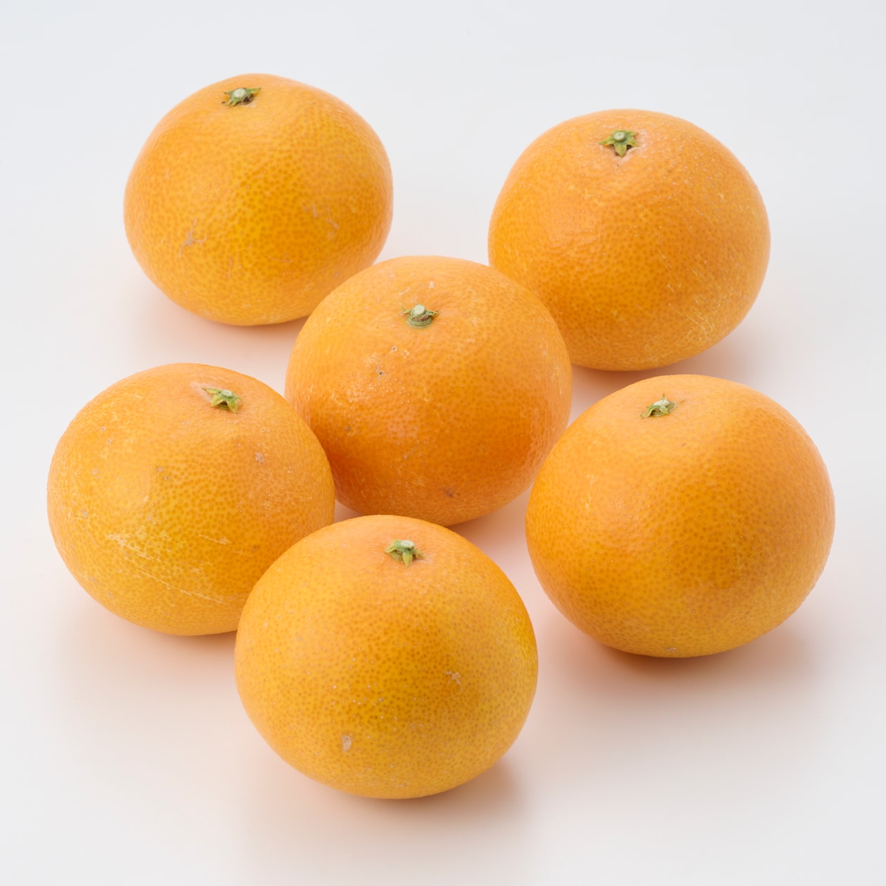 愛媛県産　増田柑園®の「愛媛果試第２８号」【ギフトにおすすめ】