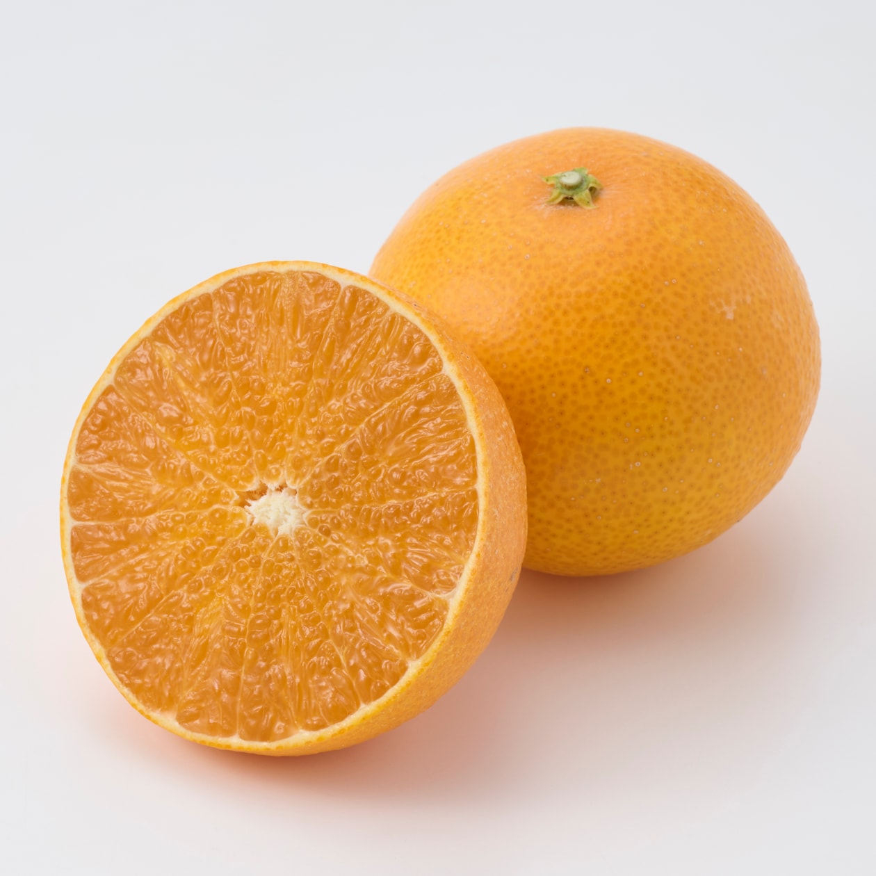 愛媛県産　増田柑園®の「愛媛果試第２８号」【ギフトにおすすめ】