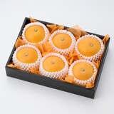 愛媛県産　増田柑園®の「愛媛果試第２８号」【ギフトにおすすめ】