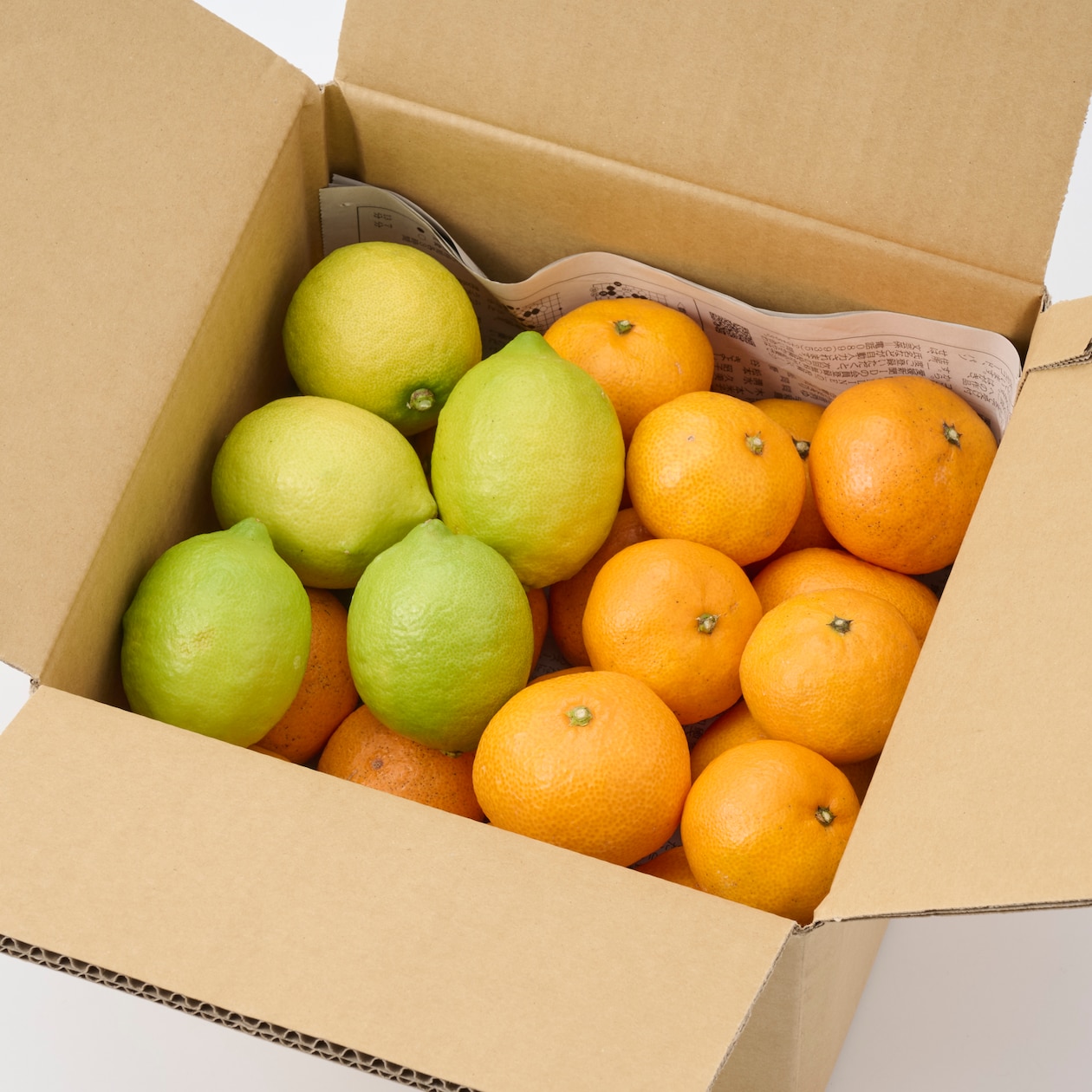 愛媛県産　増田柑園®の「温州みかん・グリーンレモン」セット