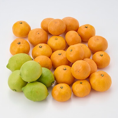 愛媛県産　増田柑園®の「温州みかん・グリーンレモン」セット