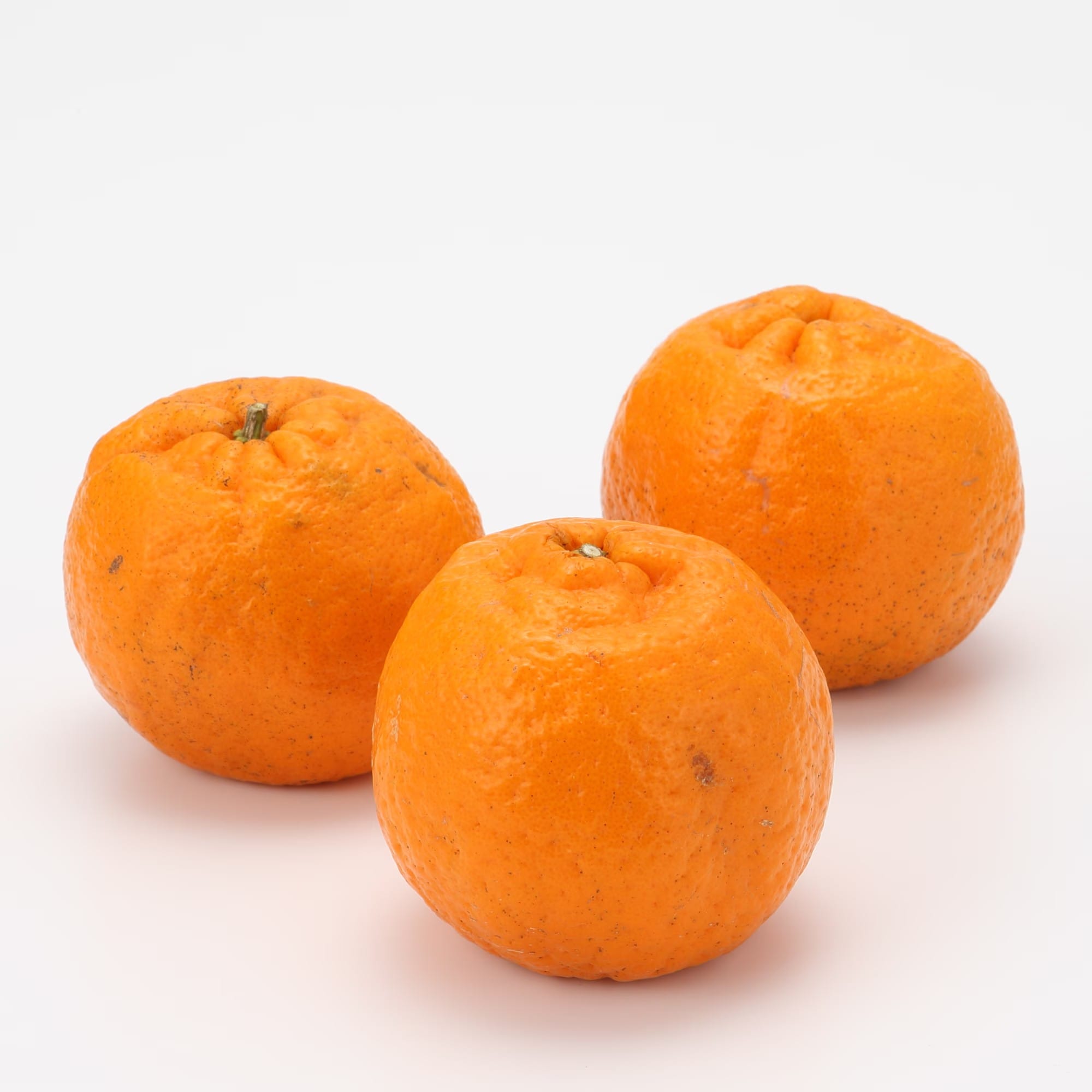 愛媛県産　無茶々園のポンカン サイズ混合・約３ｋｇ