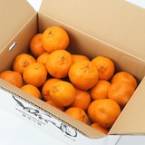 愛媛県産　無茶々園のポンカン サイズ混合・約３ｋｇ