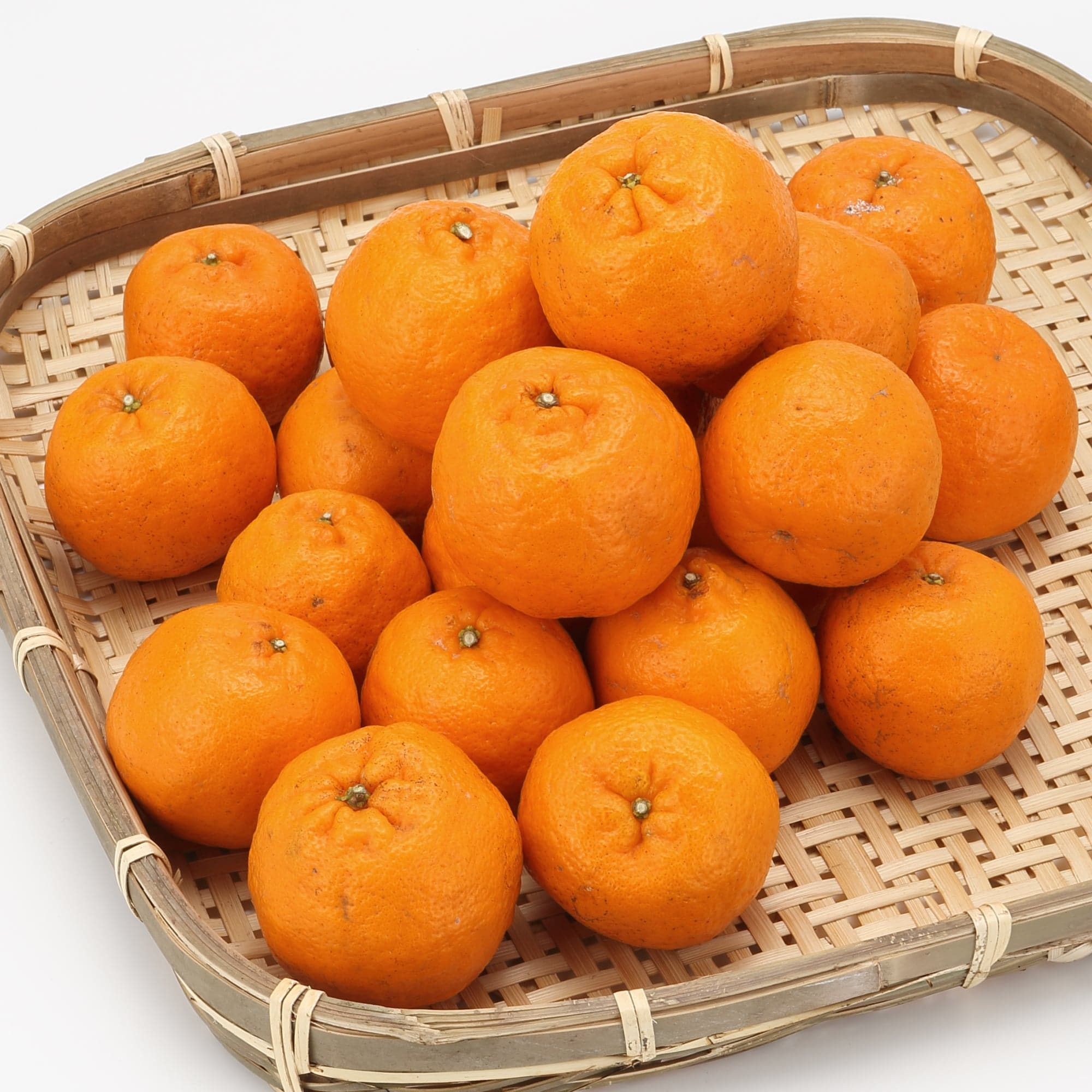 愛媛県産 無茶々園のポンカン サイズ混合・約3kg | 無印良品