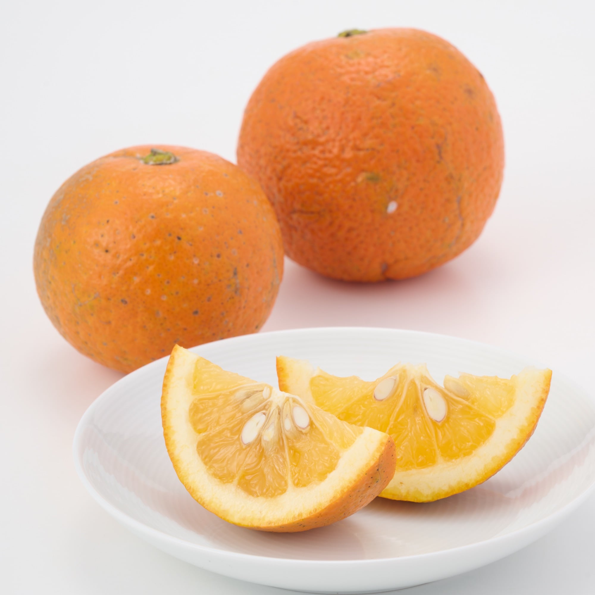 愛媛県産　無茶々園の「橙（ダイダイ）」サイズ混合・約１．５ｋｇ